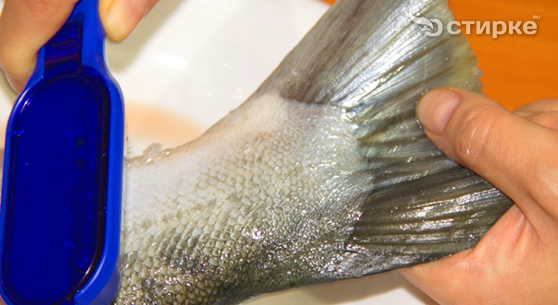 как чистить рыбу от чешуи