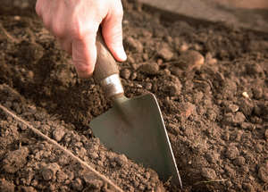 Подготовка почвы для посадки семян