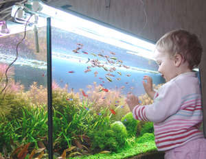 Ребенок у аквариума с рыбками