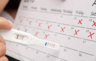 Что такое овуляция и как ее определить