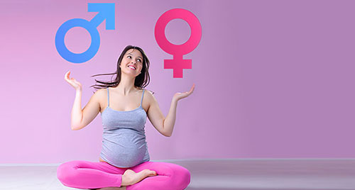 Как определить пол будущего ребёнка?