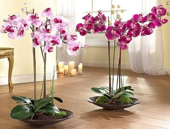 Искусственные цветы в дом или офис