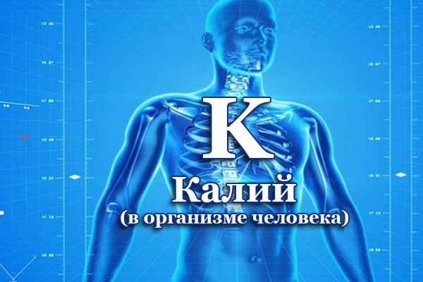 Калий в организме человека. Калий функции в организме человека. Функции калия в организме человека. Роль калия в организме человека. Основные функции калия в организме человека.