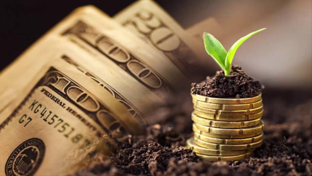 Если Вы до сих пор не знакомы с финансовой грамотностью, не ждите, что станете богатыми