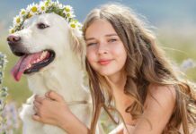 Породы собак со спокойным характером