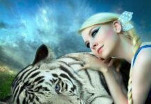 Где можно получить точное предсказание на 2022 год