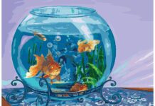 Аквариумы и уход за рыбами — обязательные знания