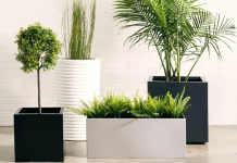 Как выбрать искусственные растения?