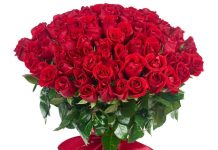 Как лучше дарить цветы: лично или курьером?