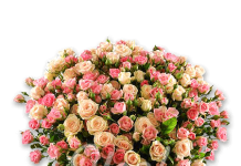 Доставка цветов дорогому человеку: как выбрать и заказать букет