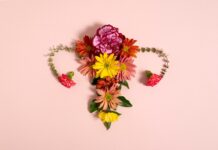 Репродуктивная система: как поддержать женское здоровье