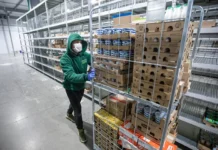 Даркстор: работа, особенности и перспективы